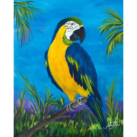 Island Birds II Black Modern Wood Framed Art Print with Double Matting by DeRice, Julie