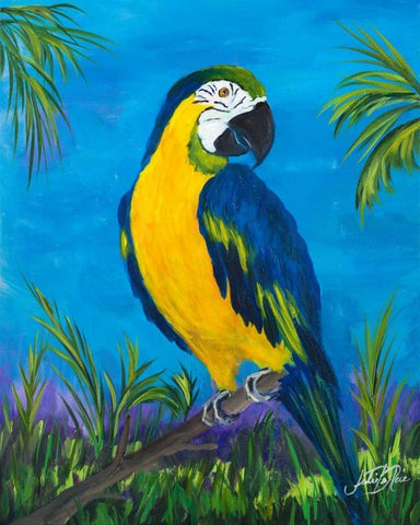 Island Birds II White Modern Wood Framed Art Print with Double Matting by DeRice, Julie