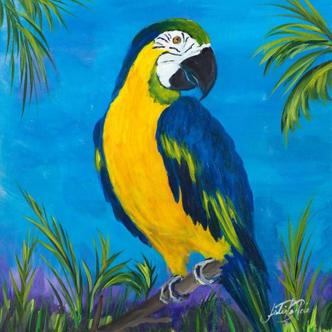Island Birds Square II White Modern Wood Framed Art Print with Double Matting by DeRice, Julie