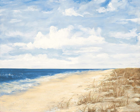 Day At The Beach White Modern Wood Framed Art Print with Double Matting by DeRice, Julie