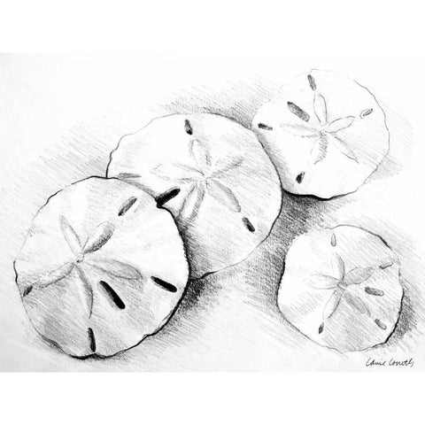 Sand Dollar II White Modern Wood Framed Art Print by Loreth, Lanie