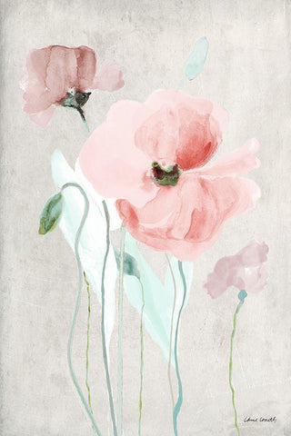 Soft Pink Poppies I White Modern Wood Framed Art Print with Double Matting by Loreth, Lanie