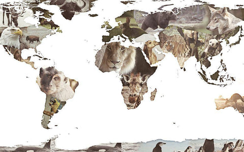 World Animals Map White Modern Wood Framed Art Print with Double Matting by SD Graphics Studio