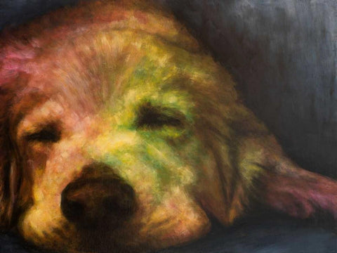 Dog Day Afternoon Black Ornate Wood Framed Art Print with Double Matting by Johnson, Walt