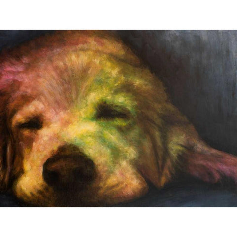 Dog Day Afternoon White Modern Wood Framed Art Print by Johnson, Walt