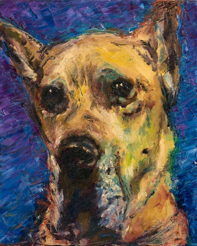 Happy Companion II White Modern Wood Framed Art Print with Double Matting by Johnson, Walt