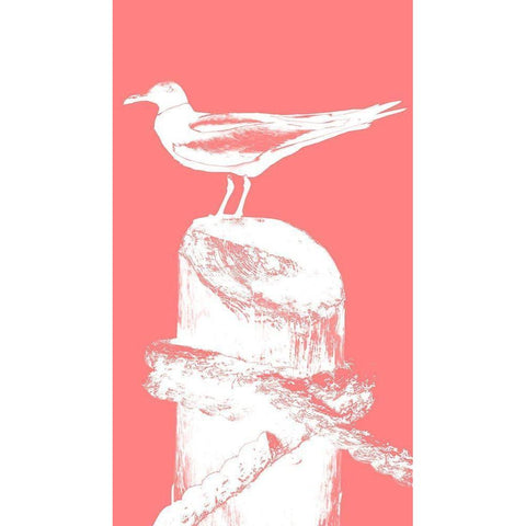 Perching Seabird I Black Modern Wood Framed Art Print with Double Matting by Bryant, Susan