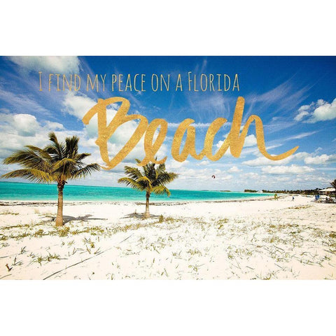 Florida Beach Black Modern Wood Framed Art Print with Double Matting by Bryant, Susan