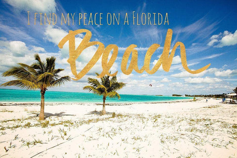 Florida Beach Black Ornate Wood Framed Art Print with Double Matting by Bryant, Susan