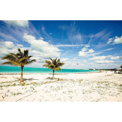 Palms and Kites White Modern Wood Framed Art Print by Bryant, Susan