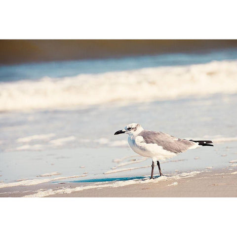 See the Seagull Gold Ornate Wood Framed Art Print with Double Matting by Bryant, Susan