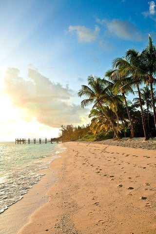 Walk the Beach Black Ornate Wood Framed Art Print with Double Matting by Bryant, Susan