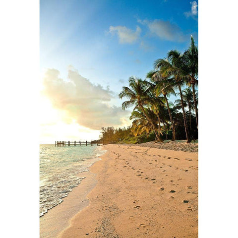 Walk the Beach Black Modern Wood Framed Art Print by Bryant, Susan