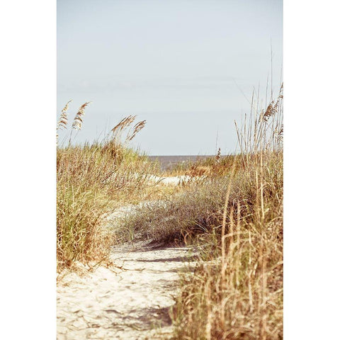 Palm To Beach Black Modern Wood Framed Art Print with Double Matting by Bryant, Susan