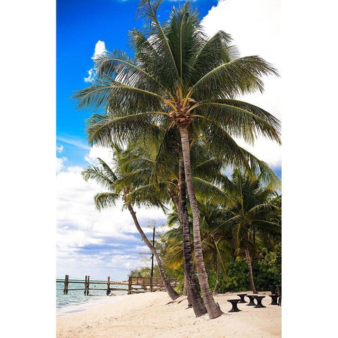 This Is Paradise Gold Ornate Wood Framed Art Print with Double Matting by Bryant, Susan