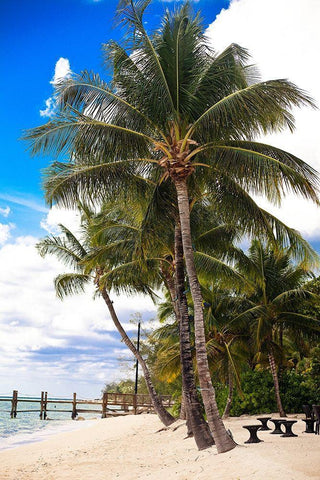 This Is Paradise Black Ornate Wood Framed Art Print with Double Matting by Bryant, Susan