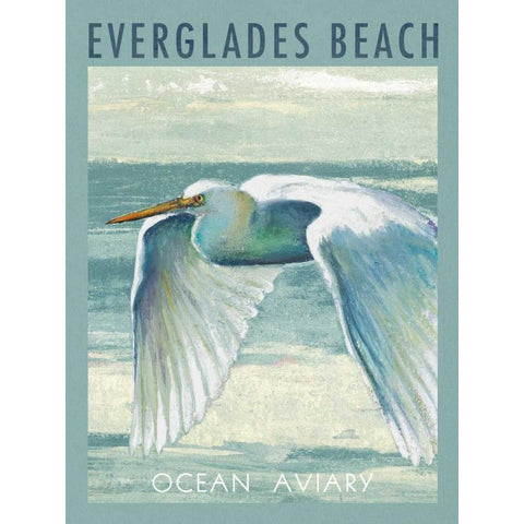 Everglades Poster II Black Modern Wood Framed Art Print with Double Matting by Pinto, Patricia