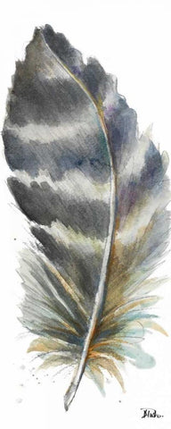 Watercolor Feather White VI White Modern Wood Framed Art Print with Double Matting by Pinto, Patricia