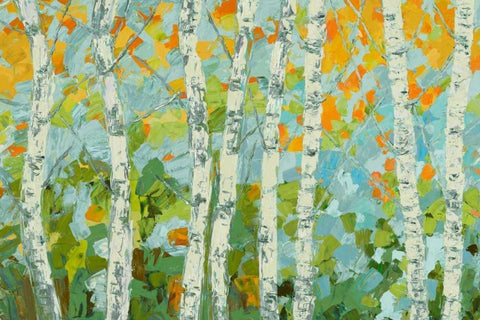 Autumn Dancing Birch Tree I White Modern Wood Framed Art Print with Double Matting by Coolick, Ann Marie