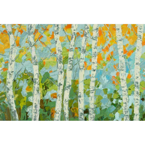Autumn Dancing Birch Tree I Gold Ornate Wood Framed Art Print with Double Matting by Coolick, Ann Marie