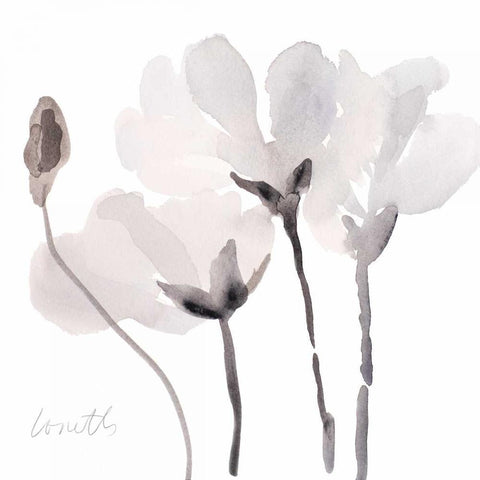 Tonal Magnolias III White Modern Wood Framed Art Print by Loreth, Lanie