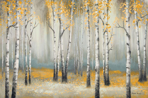 Golden September Birch White Modern Wood Framed Art Print with Double Matting by Marcon, Michael