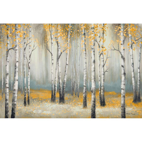 Golden September Birch Gold Ornate Wood Framed Art Print with Double Matting by Marcon, Michael