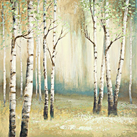 Summer Birch I White Modern Wood Framed Art Print by Marcon, Michael