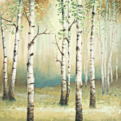 Summer Birch II White Modern Wood Framed Art Print with Double Matting by Marcon, Michael