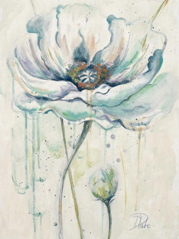 Fresh Poppies II White Modern Wood Framed Art Print with Double Matting by Pinto, Patricia