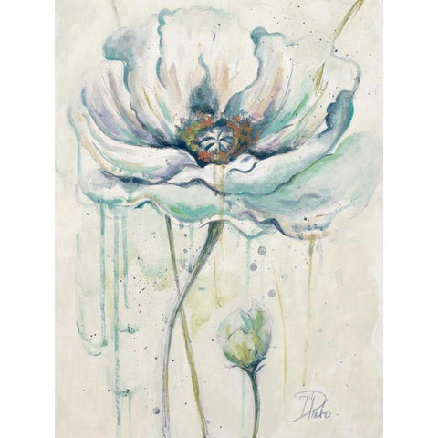 Fresh Poppies II Black Modern Wood Framed Art Print by Pinto, Patricia