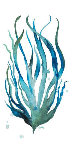 Aqua Creatures III White Modern Wood Framed Art Print with Double Matting by Medley, Elizabeth