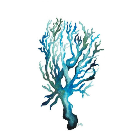 Aqua Creatures IV Black Modern Wood Framed Art Print with Double Matting by Medley, Elizabeth