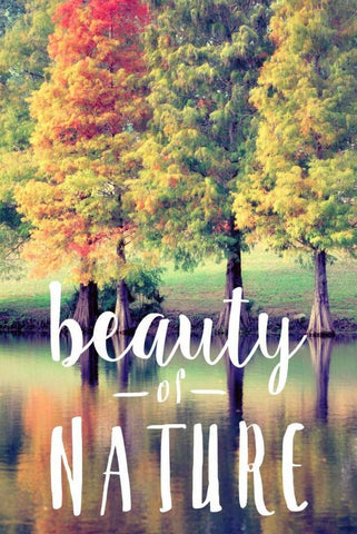 Beauty Of Nature Black Ornate Wood Framed Art Print with Double Matting by Peck, Gail