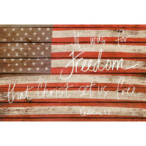 It Was For Freedom White Modern Wood Framed Art Print by Peck, Gail