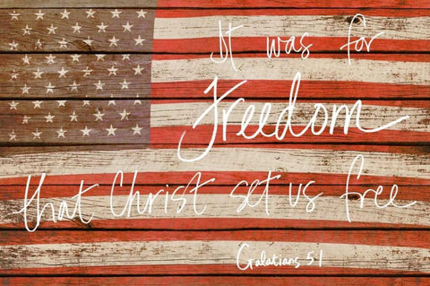 It Was For Freedom White Modern Wood Framed Art Print with Double Matting by Peck, Gail