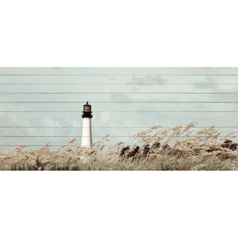 Let The Winds Blow Black Modern Wood Framed Art Print with Double Matting by Peck, Gail