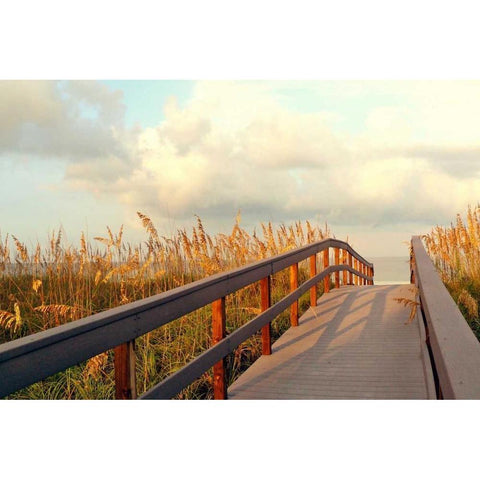 Sunset Pathway Black Modern Wood Framed Art Print with Double Matting by Peck, Gail