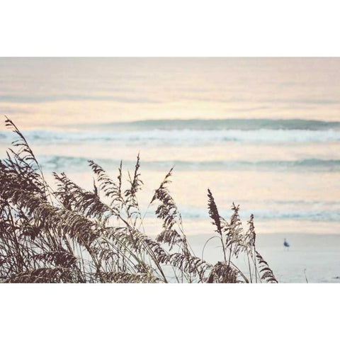 Early Morning Black Modern Wood Framed Art Print by Peck, Gail