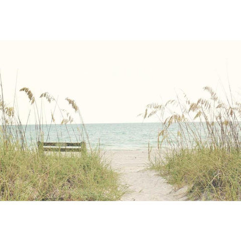Sandy Path Black Modern Wood Framed Art Print by Peck, Gail