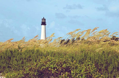 Lighthouse View Black Ornate Wood Framed Art Print with Double Matting by Peck, Gail