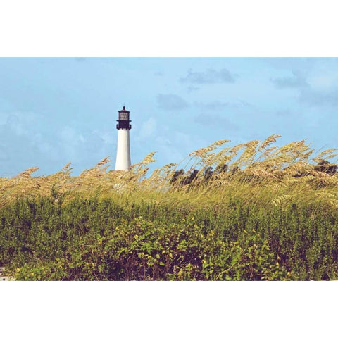Lighthouse View Black Modern Wood Framed Art Print by Peck, Gail