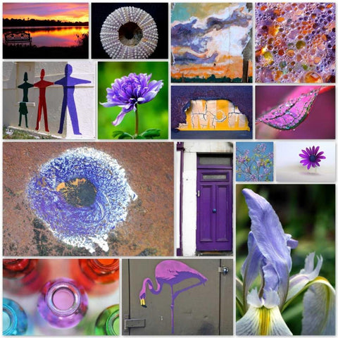 Purple Blossom Collage White Modern Wood Framed Art Print with Double Matting by Peck, Gail