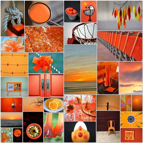 Orangina Collage Black Modern Wood Framed Art Print with Double Matting by Peck, Gail