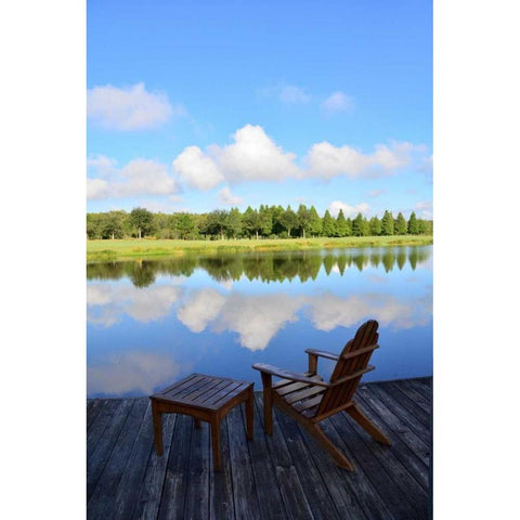 September Afternoon Black Modern Wood Framed Art Print by Peck, Gail