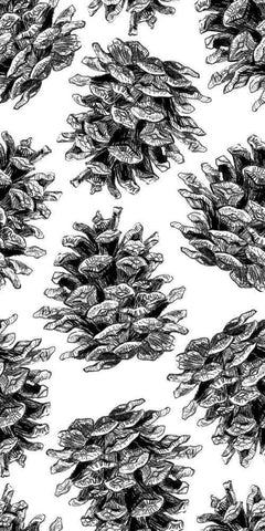 Pinecone Pattern BandW White Modern Wood Framed Art Print with Double Matting by Baliko, Linda