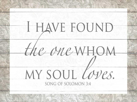 Song of Solomon White Modern Wood Framed Art Print with Double Matting by Studio, Sd Graphics
