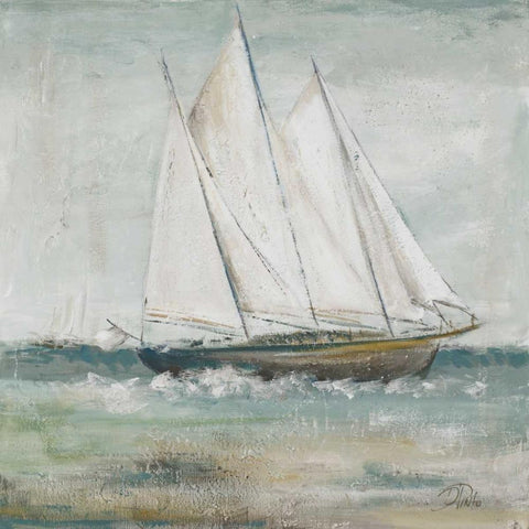 Cape Cod Sailboat II Black Modern Wood Framed Art Print with Double Matting by Pinto, Patricia