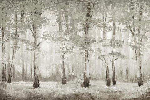 Misty Woodland Glow Black Ornate Wood Framed Art Print with Double Matting by Marcon, Michael