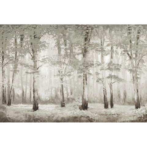 Misty Woodland Glow Black Modern Wood Framed Art Print by Marcon, Michael
